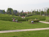 Vorschaubild