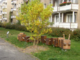 Vorschaubild